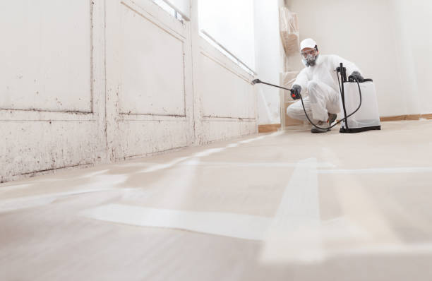 24/7 Emergency Commercial Mold Remediation experts in Princeton, KY
